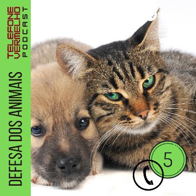 EP5 Defesa dos animais EP5 Defesa dos animais