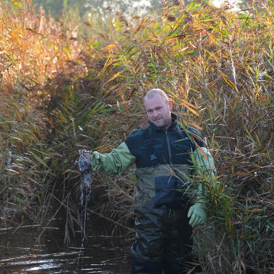 Aflevering 4: Muskusrat Aflevering 4: Muskusrat