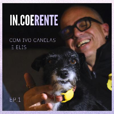 À conversa com o Ivo e a Elis: Cães, saúde mental e a legitimidade de bater palmas quando o avião aterra .