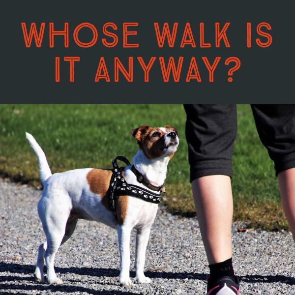Whose Walk Is It Anyway? Whose Walk Is It Anyway?