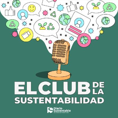 Sostenibilidad en los Negocios | Entrevista a Cristian Bustos de Beeok | Club Sustentabilidad