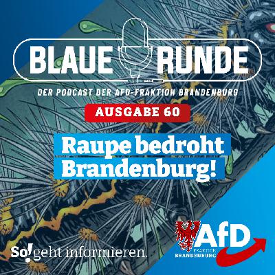 Raupe bedroht Brandenburg! | Die Blaue Runde, Ausgabe 60/25 vom 18. November 2025