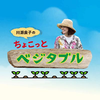 VOL.4 ＜トマトと仲良し・・・バジル！＞