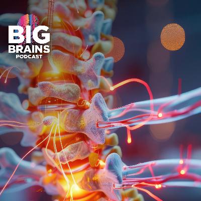 Remarkable New Treatments for Spinal Cord Injuries, with Mohamad Bydon