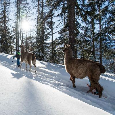 Escapada a las islas nórdicas