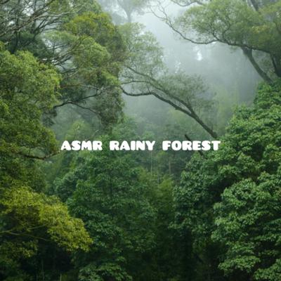 AMSR Rainy Forest Walk Thru