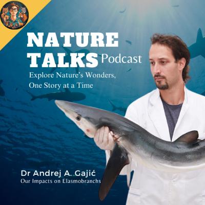 Dr Andrej: Our Impacts on Elasmobranchs