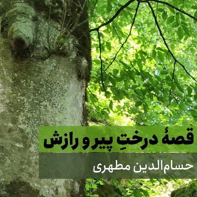 قصۀ درخت پیر و رازش