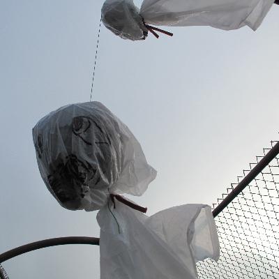 PaR 5: Rain on Cracked Concrete PaR 5: Rain on Cracked Concrete