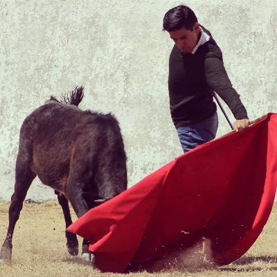 El Cine y los Toros El Cine y los Toros