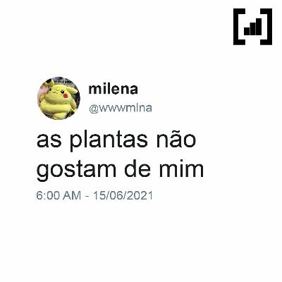 #14 - as plantas não gostam de mim