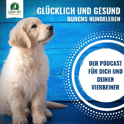 #130 Korrigieren im Hundetraining