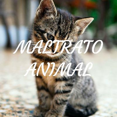 Maltrato animal