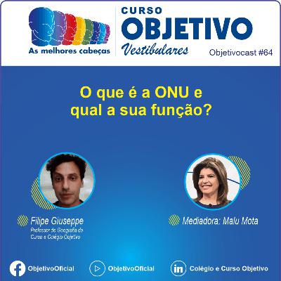 64 - O que é a ONU e qual a sua função?