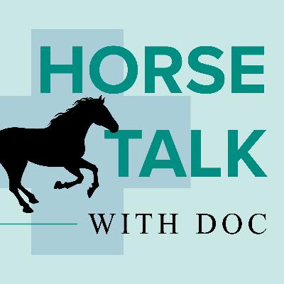 EP. 33 Setting your mare up for breeding part 1 of 2