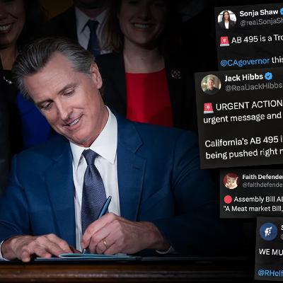 If Gavin Newsom Passes This Bill....Flee California!