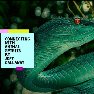 SNAKE SPIRIT GUIDED SHAMANIC JOURNEY