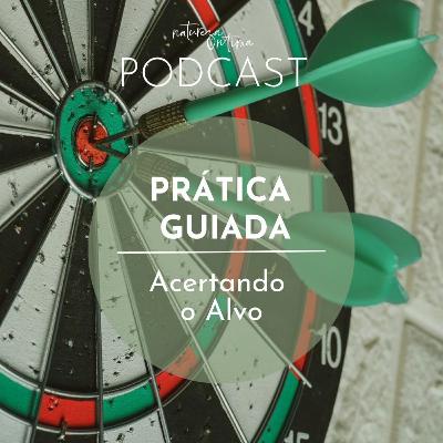 Acertando o Alvo | Prática Guiada