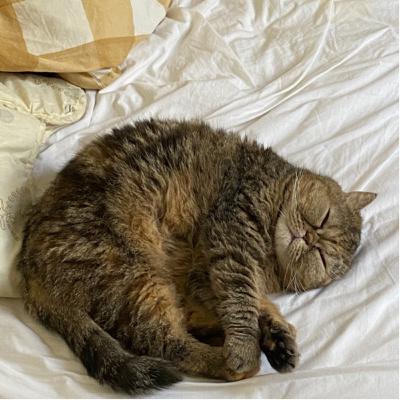 第五十五天睽違一年的⋯⋯病態ㄉ完美主義