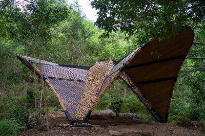 Tectonics of the Island : comme un papillon de bambou... Tectonics of the Island : comme un papillon de bambou...
