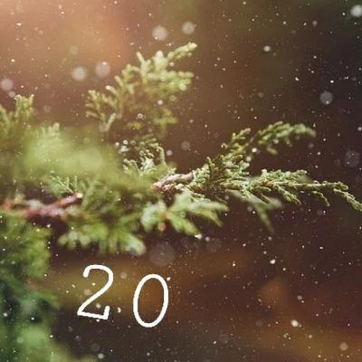 Case 20 : Quelques restrictions alimentaires
