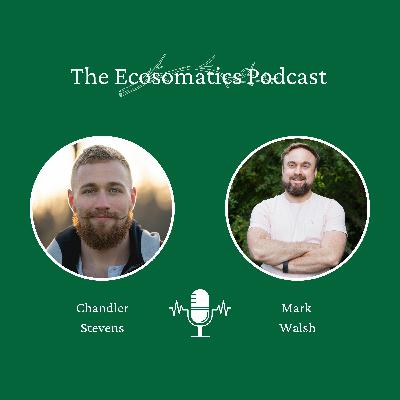 Reasoning Through an Embodiment Practice with Mark Walsh