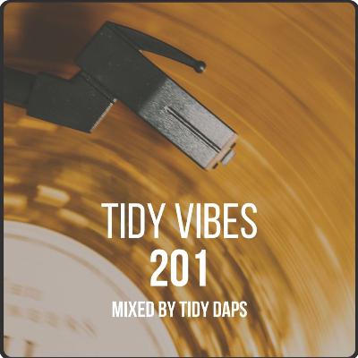 Tidy Vibes 201