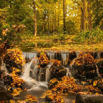 On the hunt for hidden dams