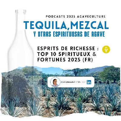 Esprits de Richesse : Top 10 Spiritueux & Fortunes 2025