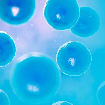 Baixa resposta à estimulação da ovulação - Dr. Leonardo Matheus e Dra. Laura Maia