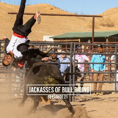 Jackasses of Bull Riding