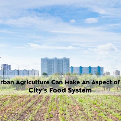Urban Agriculture Can Make An Aspect of a City’s Food System : Developing Local Food Systems