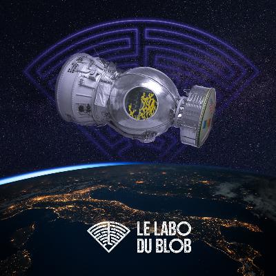 Le BLOB : un Voyageur Spatial ?