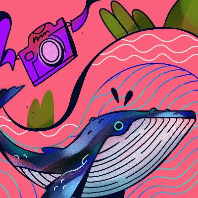 Desde la orilla - Sergio Tapias