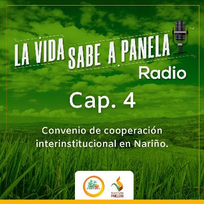 Capítulo 4 - Convenio de cooperación interinstitucional en Nariño Capítulo 4 - Convenio de cooperación interinstitucional en Nariño