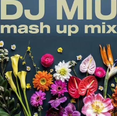 Miley Cyrus  vs Jazzdauren - Дарите женщинам flowers DJ Miu Mash Up Mix