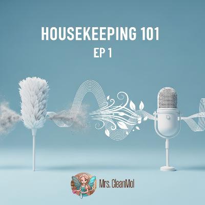 🧼 Housekeeping 101: The Clean Home Guide 🧼 EP 1: The Invisible Game of Tag – Mastering Cross-Contamination & Pro Cleaning Secrets
