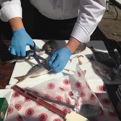 54 Niaz Dorry on organizing for land food and sea food, and organizing at the speed of trust