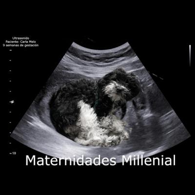 T2. E7 Maternidad Millennial