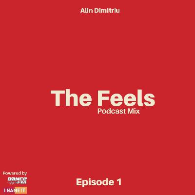 The Feels - Episode 1 (Dance FM / I NAME IT Podcast) The Feels - Episode 1 (Dance FM / I NAME IT Podcast)