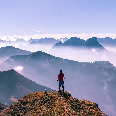 HOW TO GO BEYOND THE NOISE