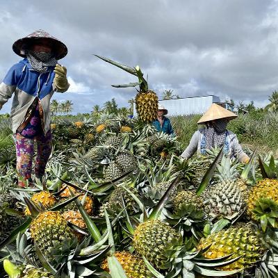 Người cũ cảnh xưa: Xuôi dòng Cái Lớn nhớ khóm Ba Đình