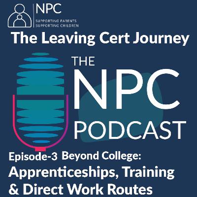 Beyond College – Apprenticeships, Training & Direct Work Routes Beyond College – Apprenticeships, Training & Direct Work Routes