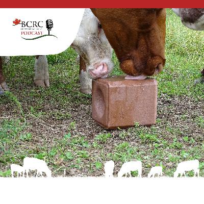 Episode 97: Be Mindful of Minerals