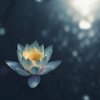 #3: O que é meditação?