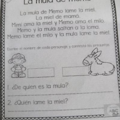 Memo y mimi