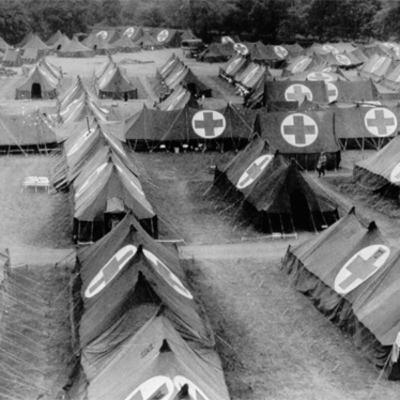 Episode #8- Medicine in World War II