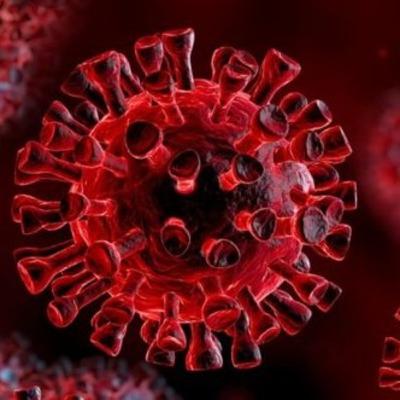 El Virus.