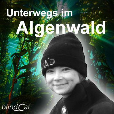 Sarina Niedzwiedz unterwegs in den Algenwäldern