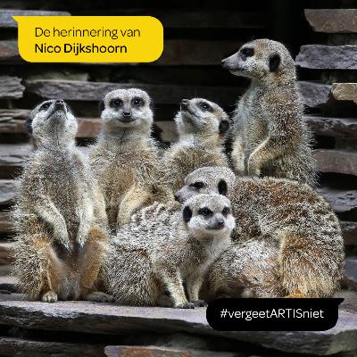 ARTIS vergeet je niet - de herinnering van Nico Dijkshoorn ARTIS vergeet je niet - de herinnering van Nico Dijkshoorn
